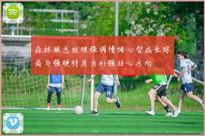 森林狼总经理强调情绪心智成长球商与强硬特质为补强核心方向